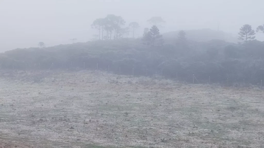 Já nevou no Brasil? Veja lista de cidades que registraram neve