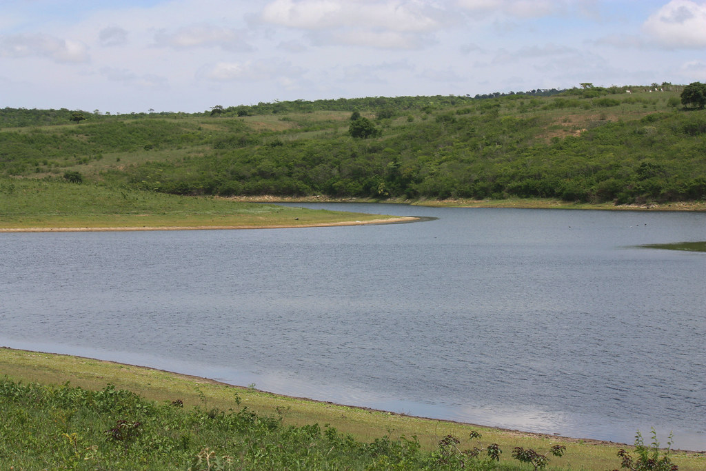 Açudes da Fazenda Amazonas